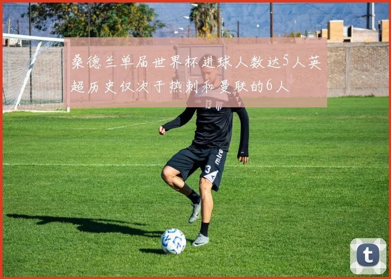 桑德兰单届世界杯进球人数达5人英超历史仅次于热刺和曼联的6人