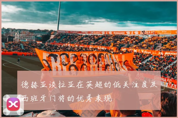 德赫亚谈拉亚在英超的低关注度及西班牙门将的优秀表现