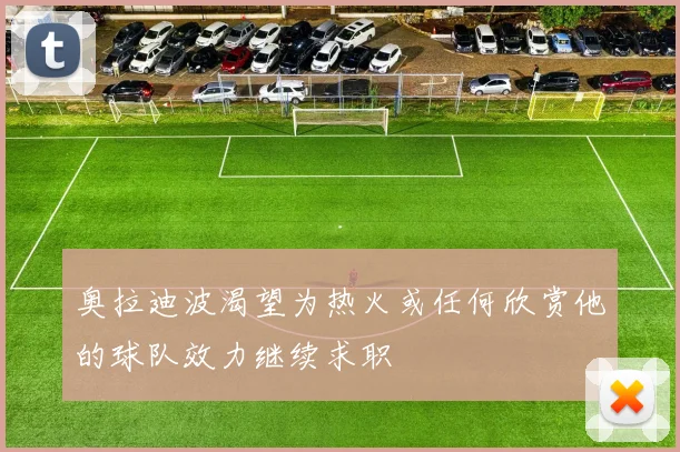 奥拉迪波渴望为热火或任何欣赏他的球队效力继续求职