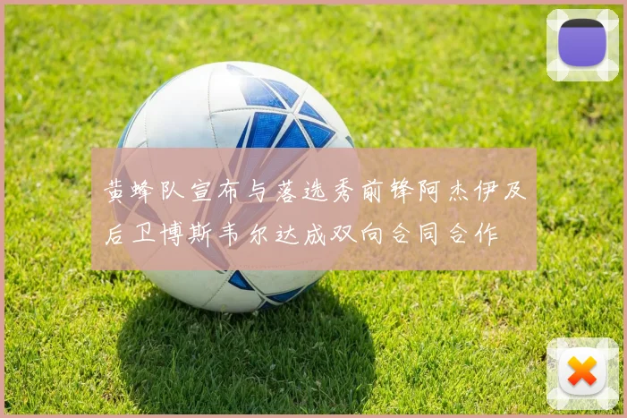 黄蜂队宣布与落选秀前锋阿杰伊及后卫博斯韦尔达成双向合同合作